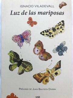 Luz de las mariposas